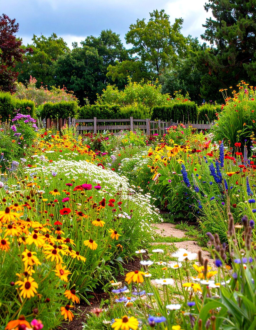 Annual Wildflower Gardens - 24 Wildflower Garden Ideas