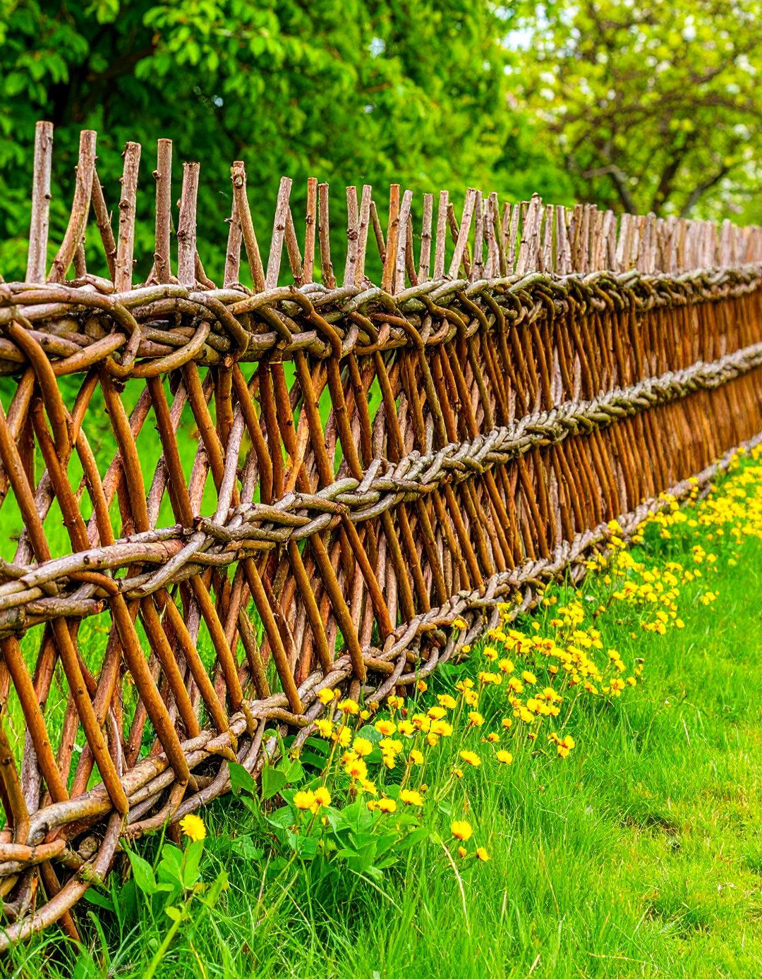 Branch and Twig Natural Barriers - 24 Cheap Privacy Fence Ideas
