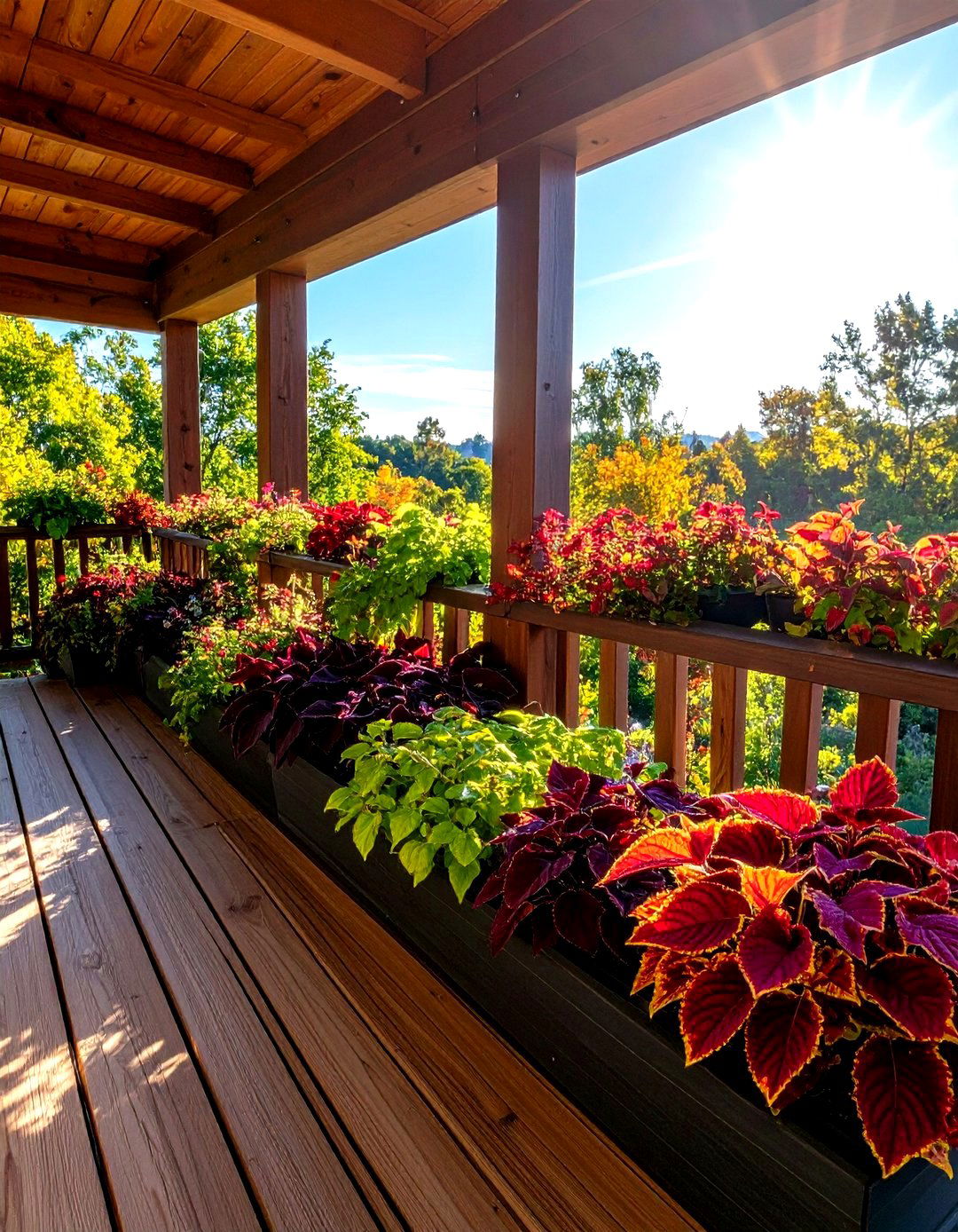Coleus for Colorful Foliage Drama - 24 Flowering Plants for Balcony