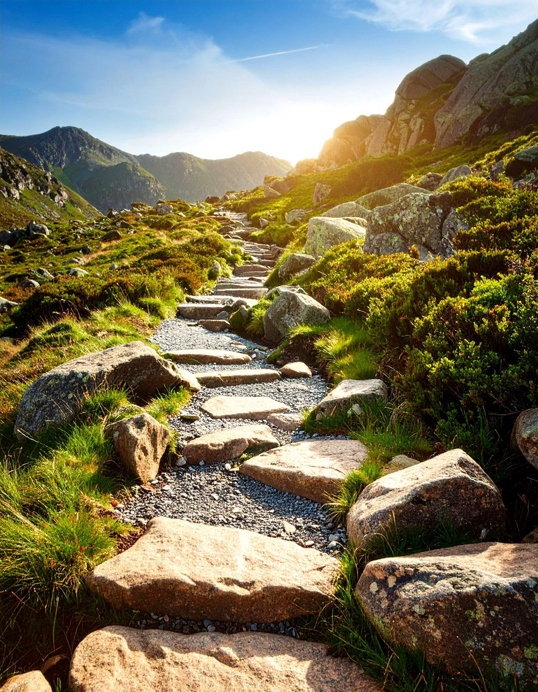Crushed Granite Switchback Trail - 24 Sloped Walkway Ideas
