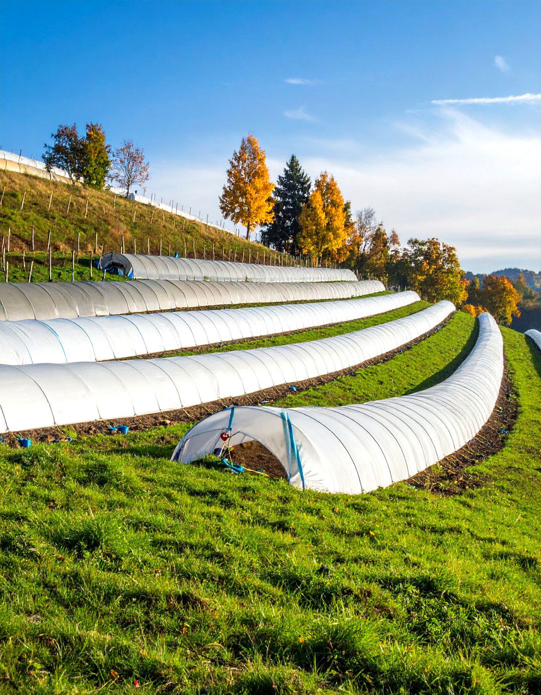 Erosion Control Fabric Systems - 24 hillside landscaping ideas