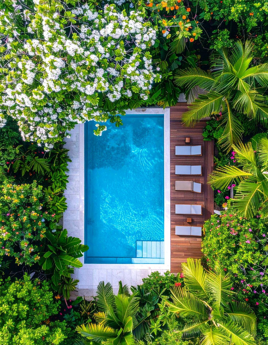 Exotic Flowering Tree Canopy Design - 24 Tropical Pool Landscaping Ideas