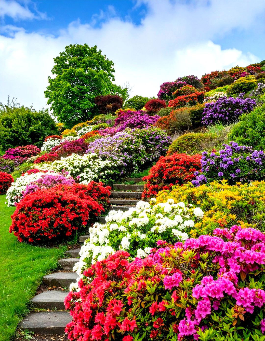 Groundcover Erosion Control Gardens - 24 Sloped Garden Ideas