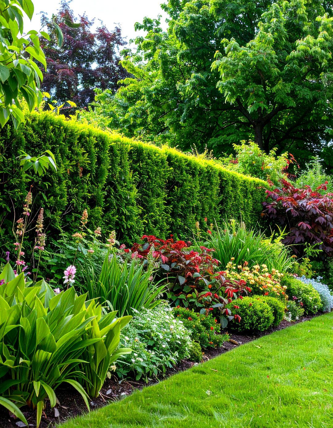 Living Hedge Fence with Mixed Plantings - 24 Vegetable Garden Fence Ideas