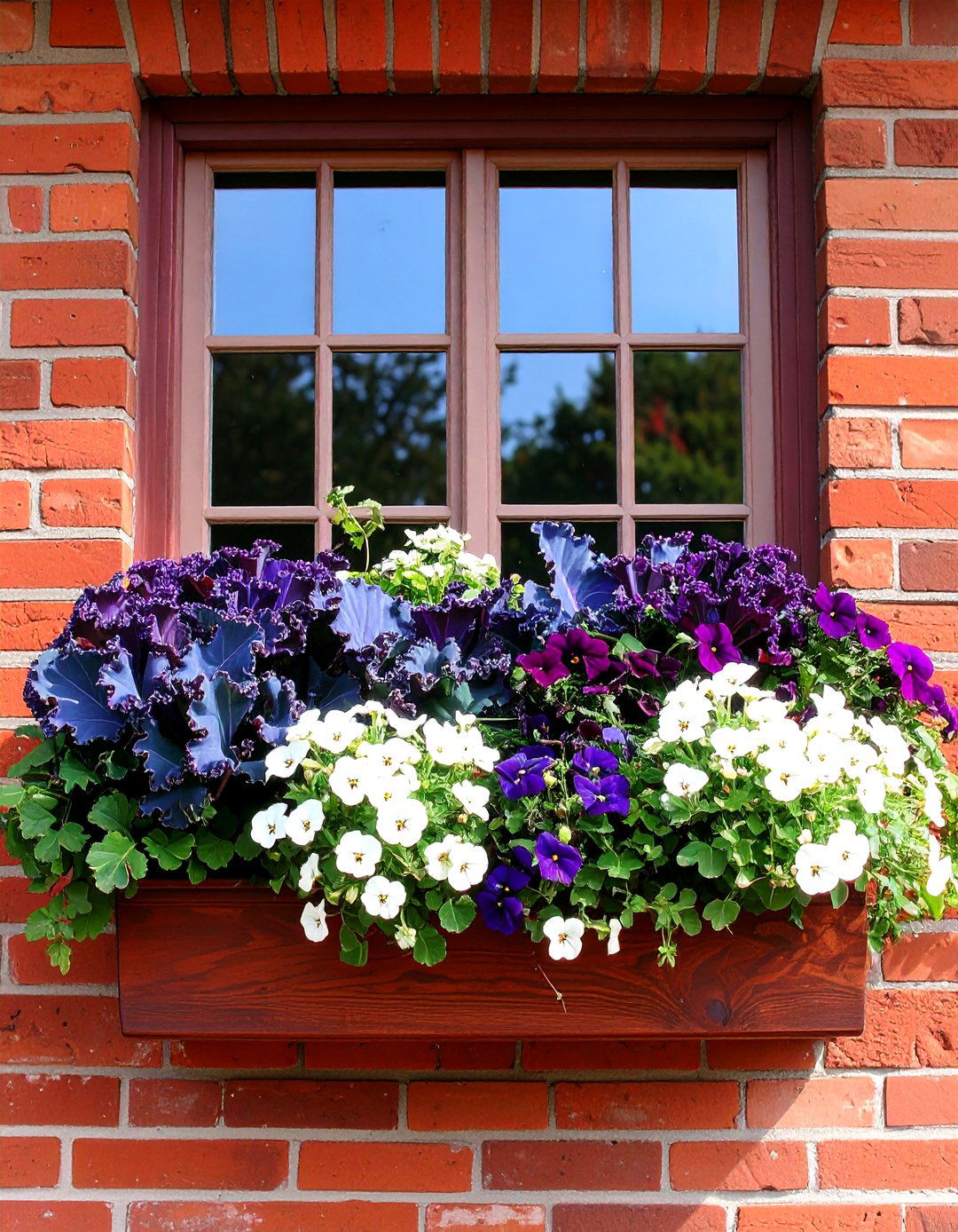 Ornamental Kale Symphony - 24 Fall Window Box Ideas