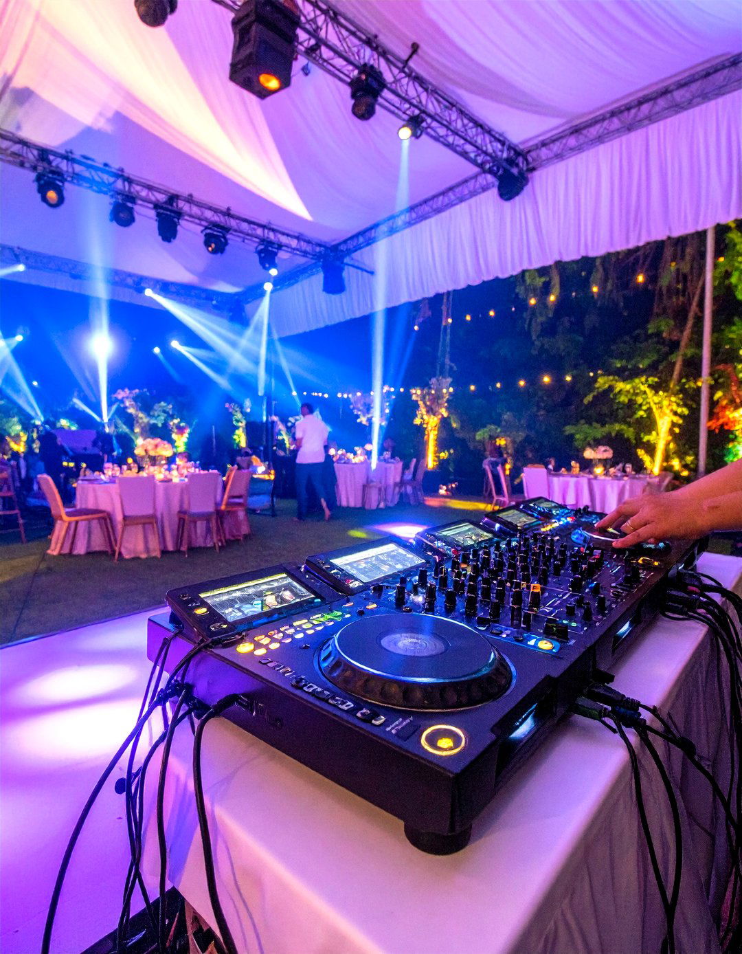 Professional DJ with Lighting Effects - 24 Wedding Entertainment Ideas