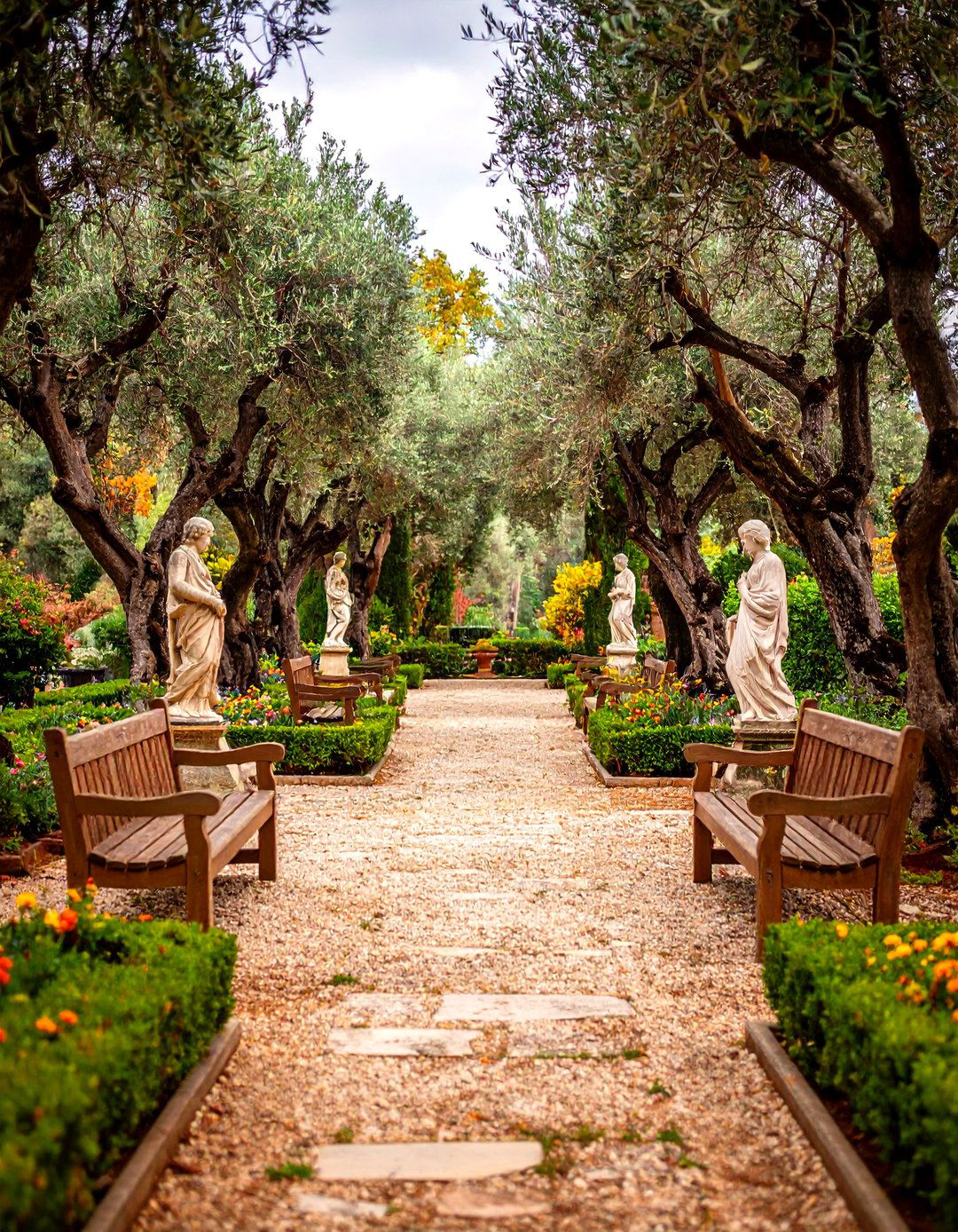 Sculptural Olive Grove Garden - 24 Greek Garden Ideas