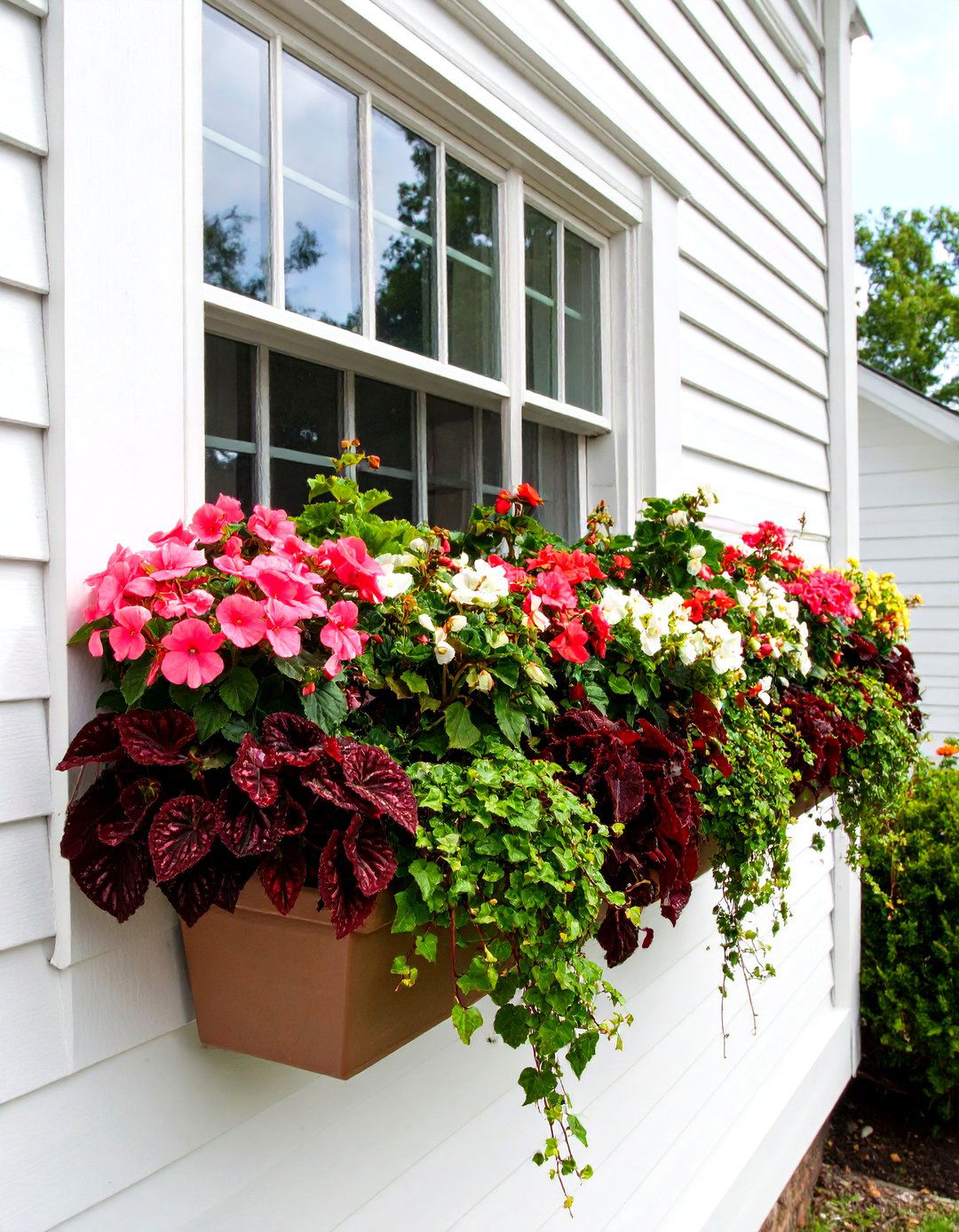 Shade Loving Window Box - 24 window box ideas