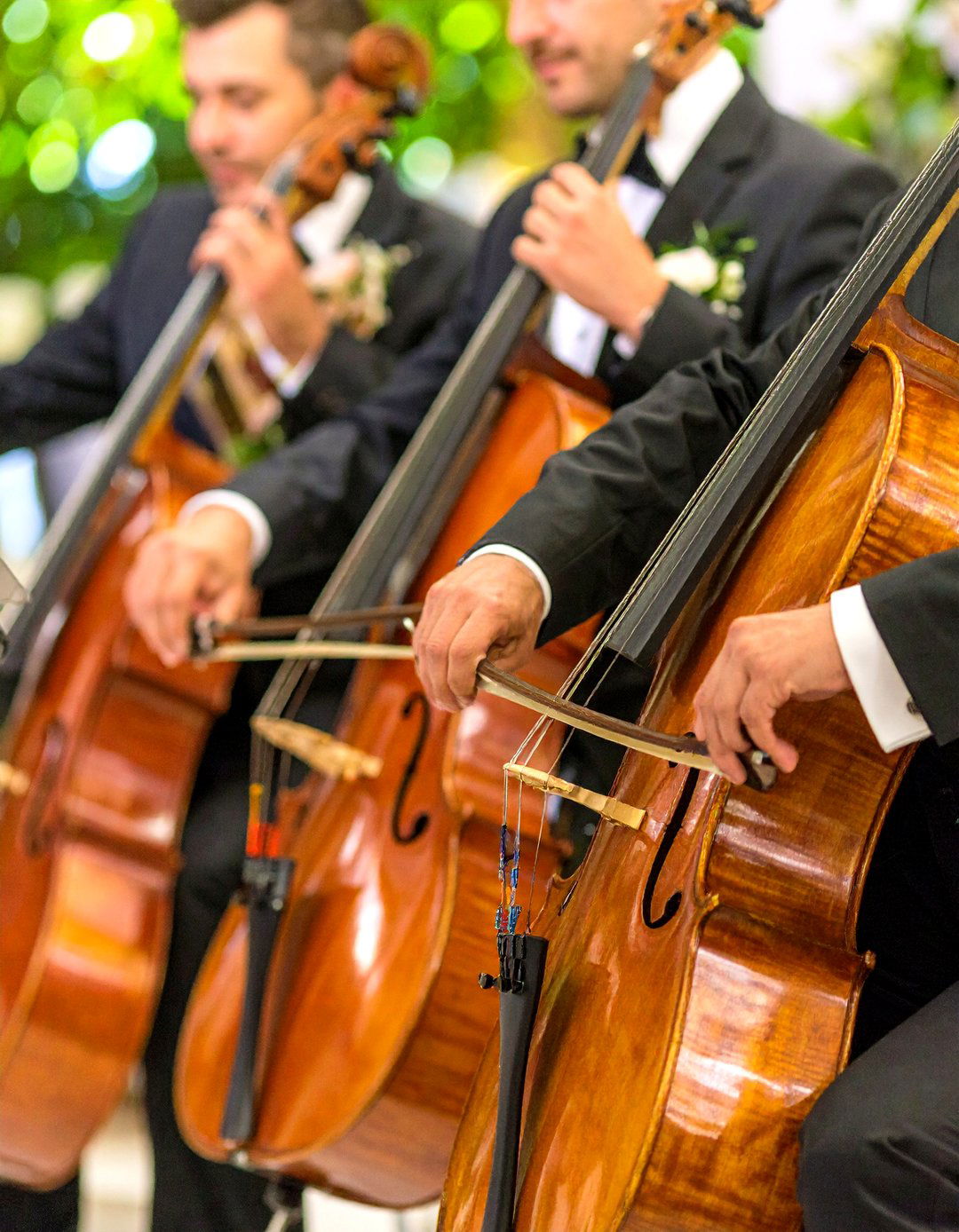 String Quartet for Elegant Sophistication - 24 Wedding Entertainment Ideas