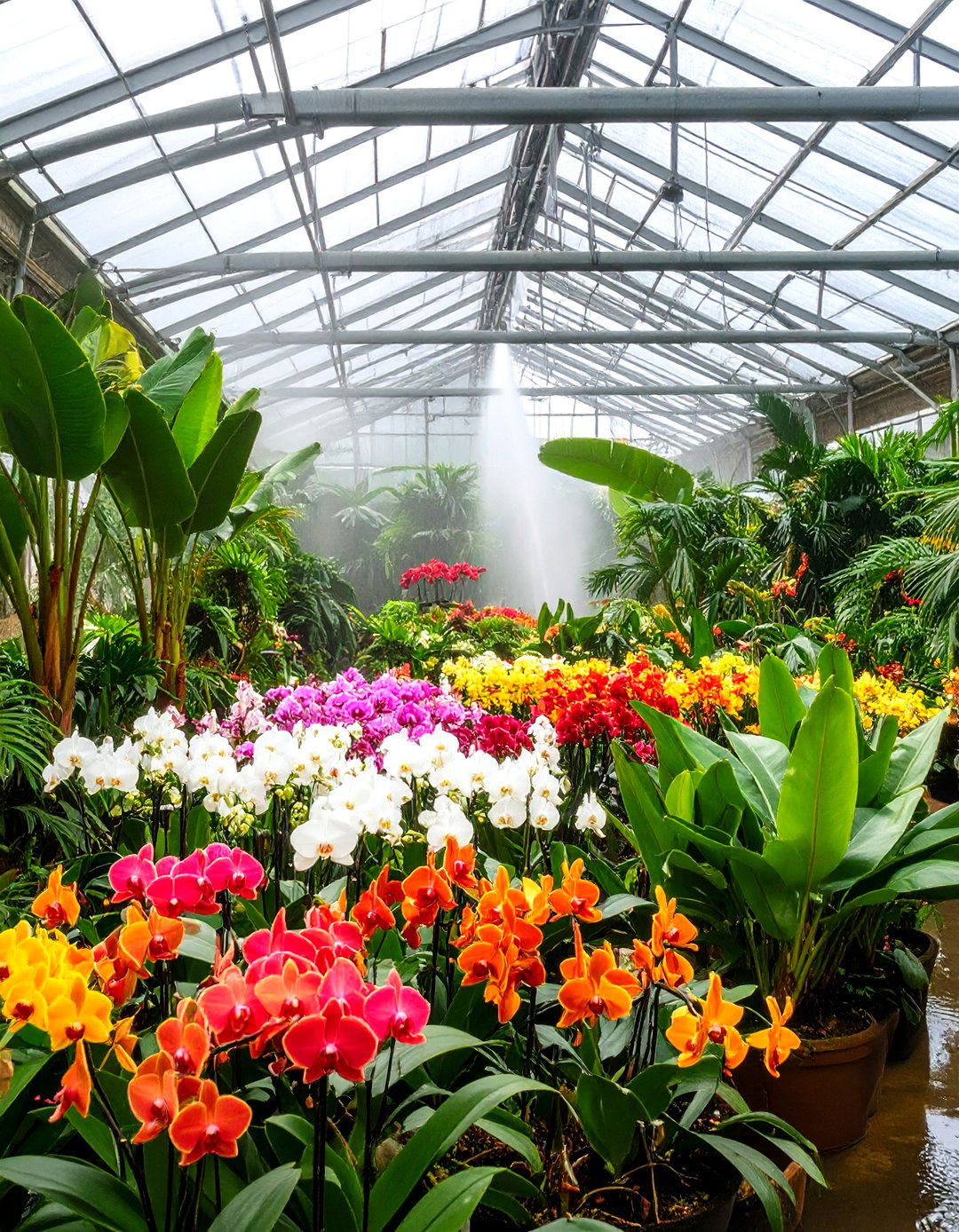 Tropical Rainforest Greenhouse - 24 Fantasy Greenhouse Ideas