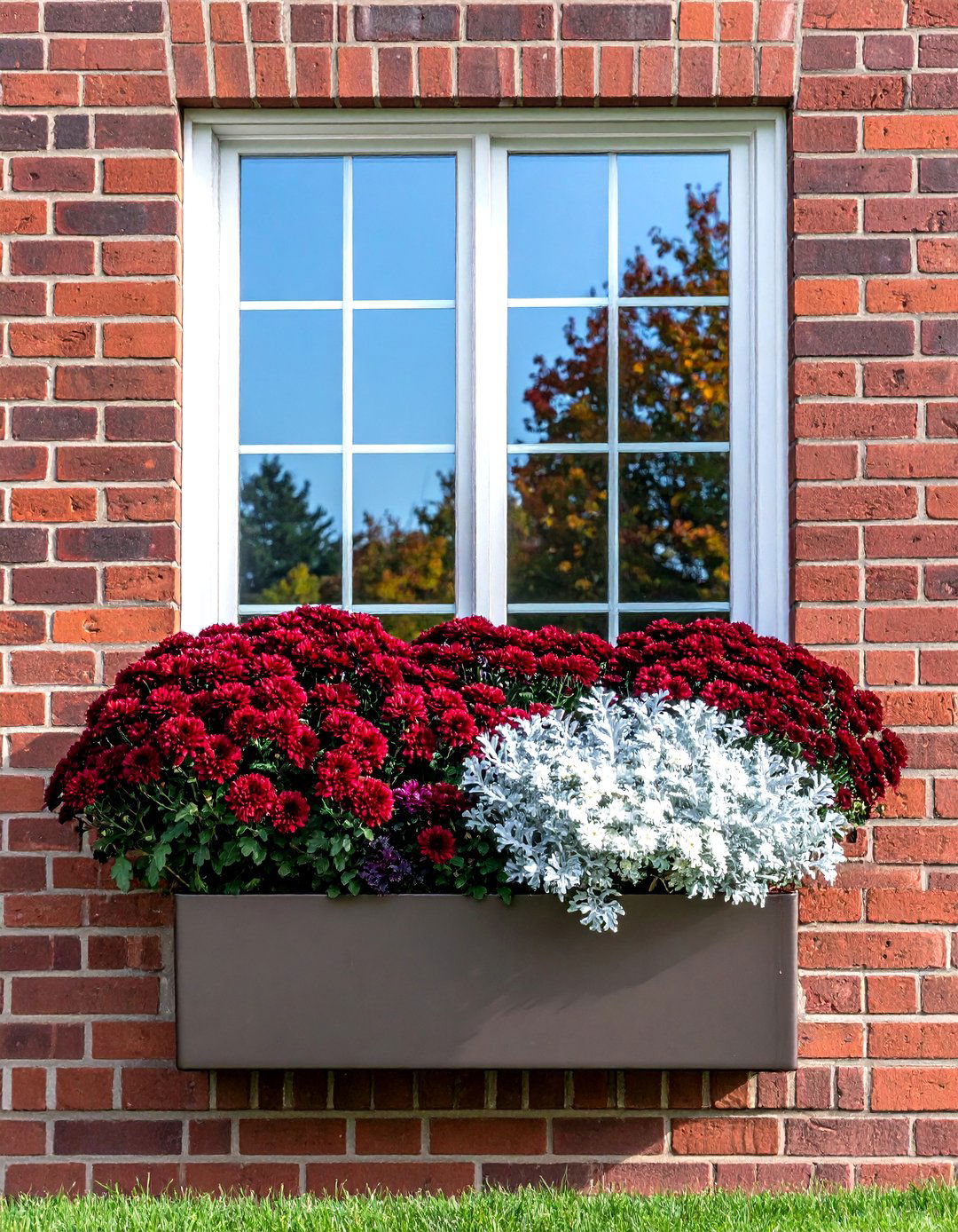 Wine Colored Elegance - 24 Fall Window Box Ideas