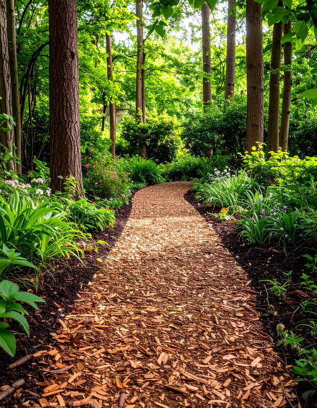 Woodland Mulch Trail - 24 Garden Path Ideas