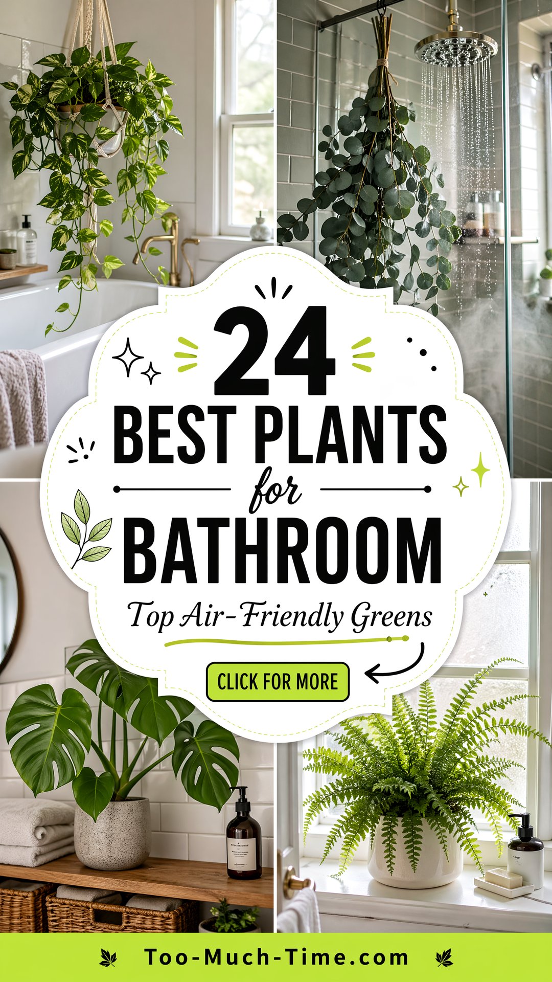 24 Best Plants for Bathroom Top Air-friendly Greens - 24 Best Plants for Bathroom: Top Air-friendly Greens