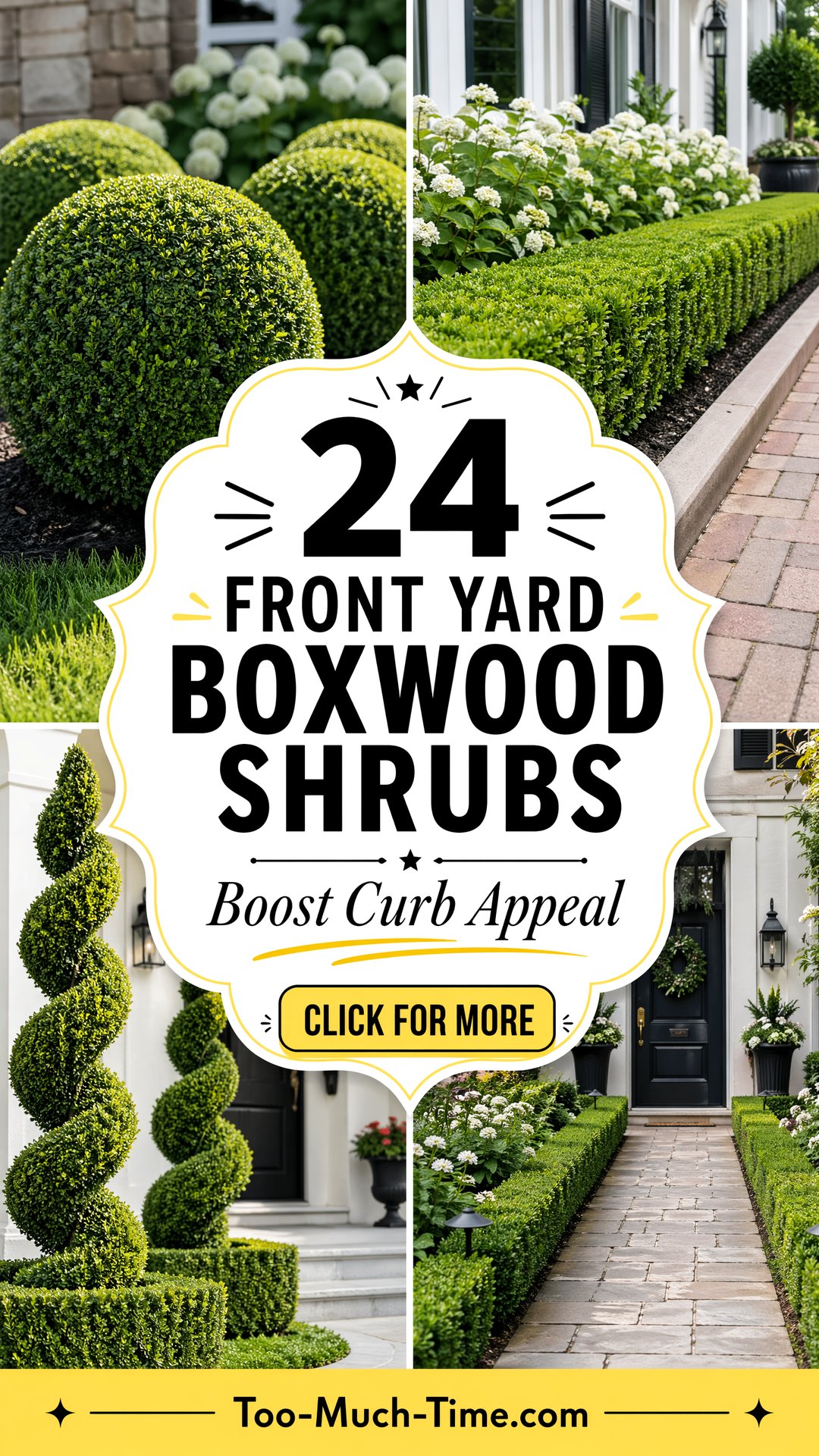 24 Front Yard Boxwood Shrubs for Curb Appeal Boost - 24 Front Yard Boxwood Shrubs for Curb Appeal Boost