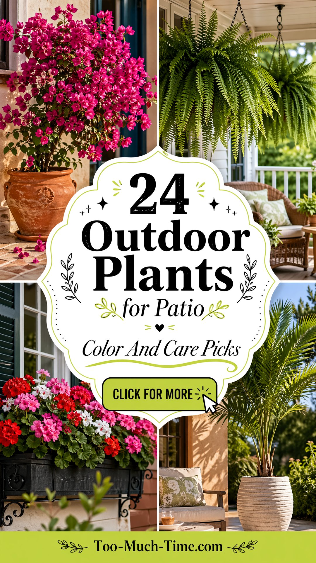 24 Outdoor Plants for Patio Picks for Color and Care - 24 Outdoor Plants for Patio: Picks for Color and Care