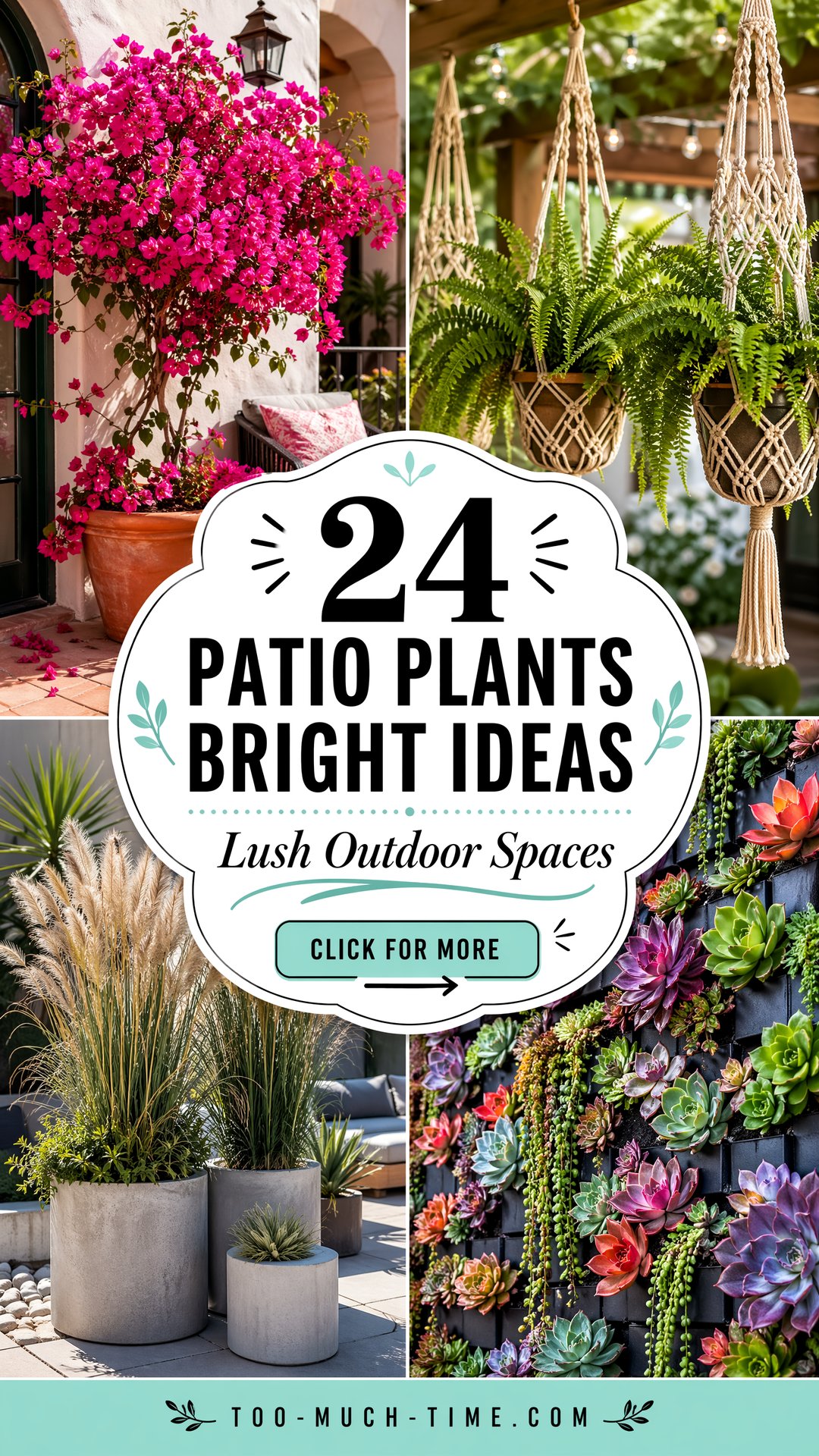 24 Patio Plants Bright Ideas for Outdoor Spaces Now - 24 Patio Plants: Bright Ideas for Outdoor Spaces Now