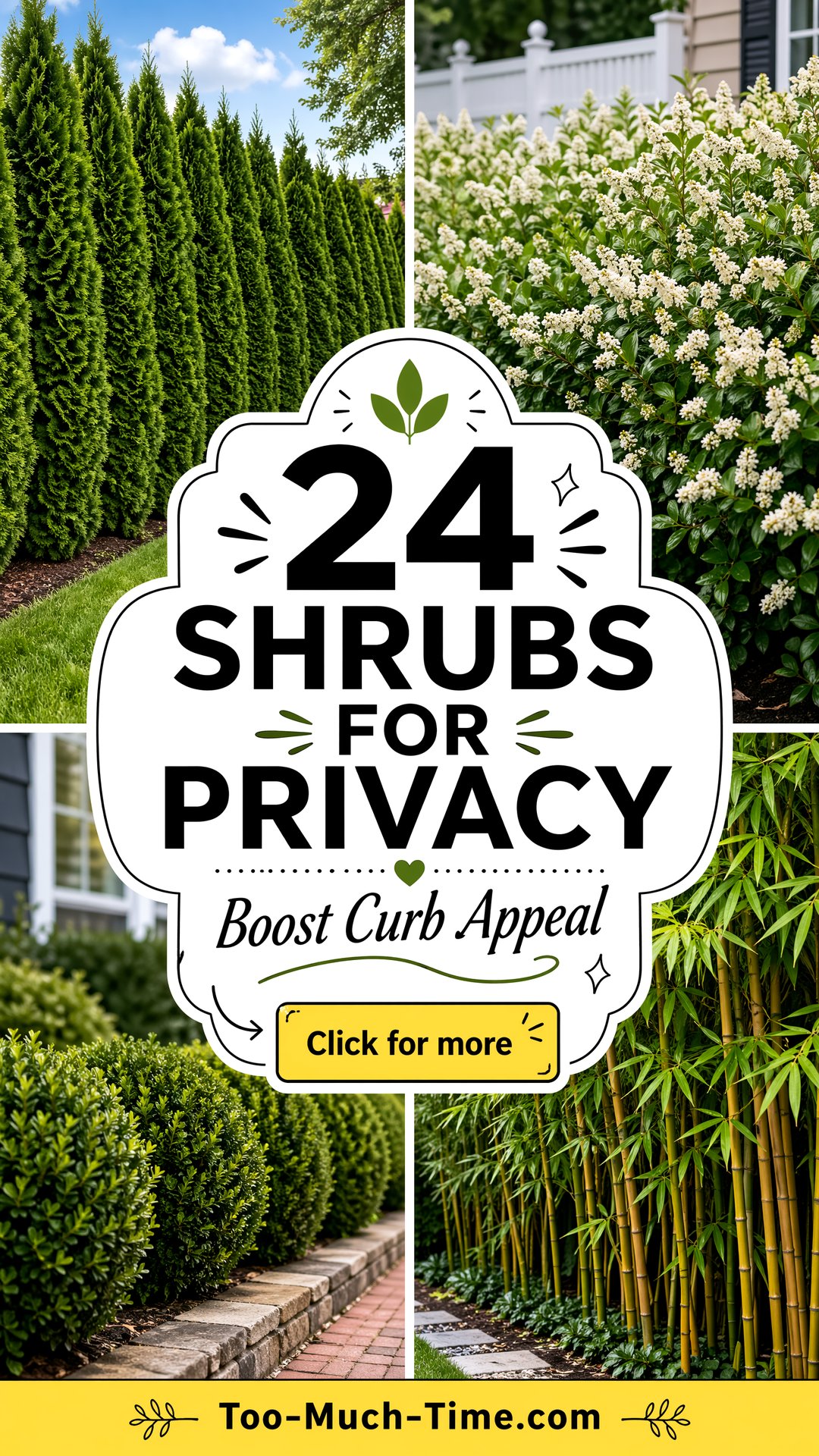24 Shrubs for Privacy for Curb Appeal - 24 Shrubs for Privacy for Curb Appeal