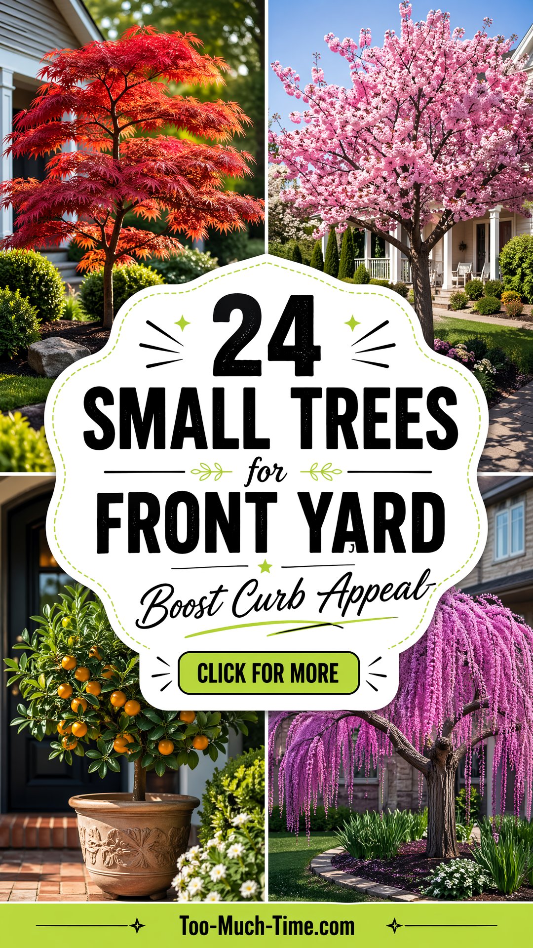 24 Small Trees for Front Yard to Boost Curb Appeal - 24 Small Trees for Front Yard to Boost Curb Appeal